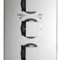 Abode - Euphoria - Concealed Thermostatic Shower Control (2 independent exits) (Zeal)